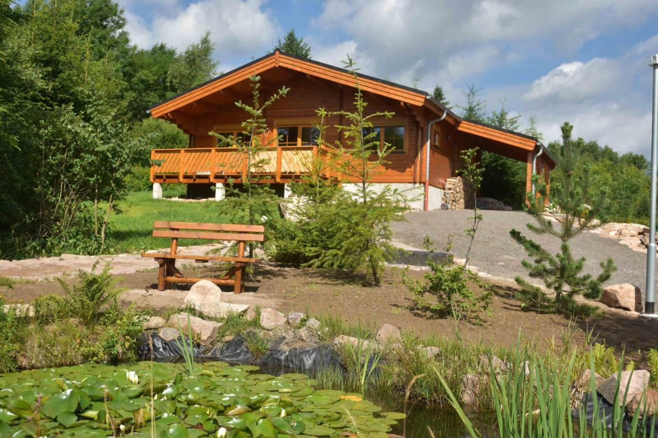 Altenberg Erzgebirgsholzhaus Am Lugstein 빌라 외부 사진